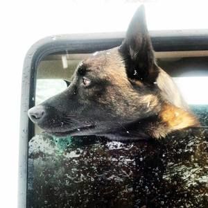 Meet your Posher, Stephen